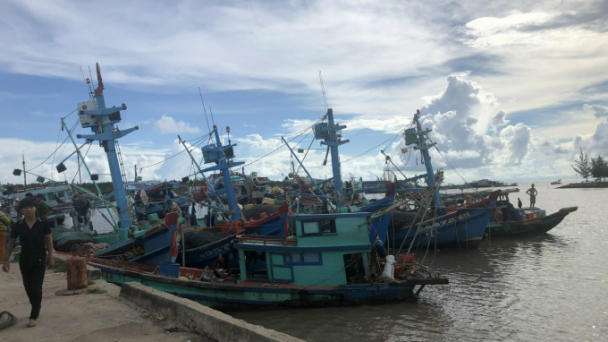 Tăng cường pháp luật trong phòng, chống khai thác thủy sản trái phép