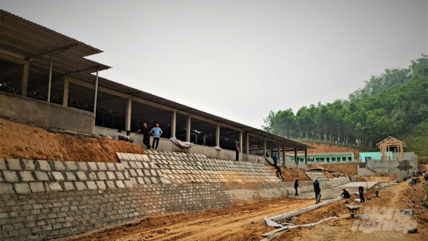 Dự án chăn nuôi không phép thách thức sự 'tận tụy' của chính quyền?