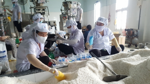 Bạc Liêu: Bảo tồn và phát huy giá trị nghề muối trước Biến đổi khí hậu