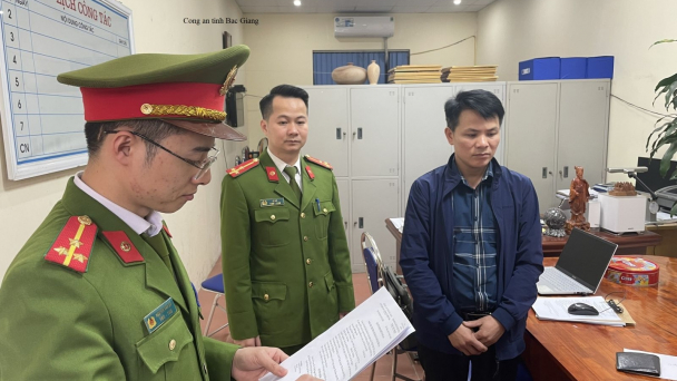Lập khống hồ sơ lâm sản gỗ bán cho các doanh nghiệp xuất khẩu