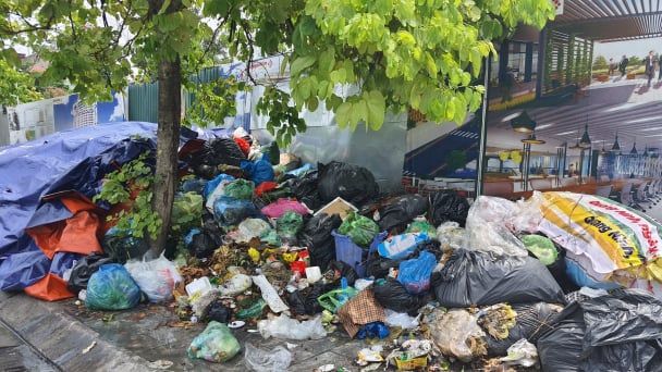 Rác thải ùn ứ Cẩm Phả, Hạ Long; tỉnh Quảng Ninh nói 'do sở ngành'