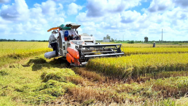 HTX được Dự án VnSAT hỗ trợ đủ điều kiện xuất khẩu sang châu Âu