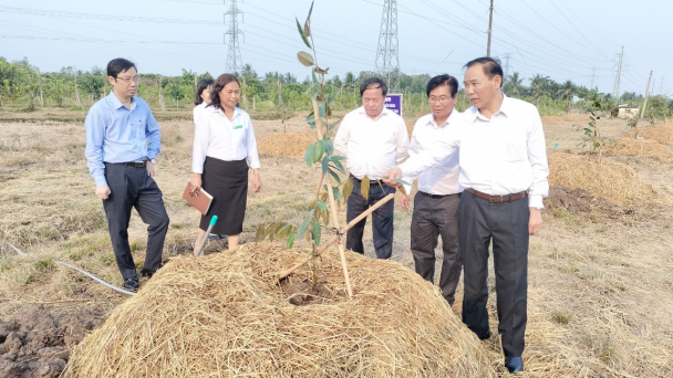 Cần siết lại việc bảo vệ quyền tác giả giống cây trồng