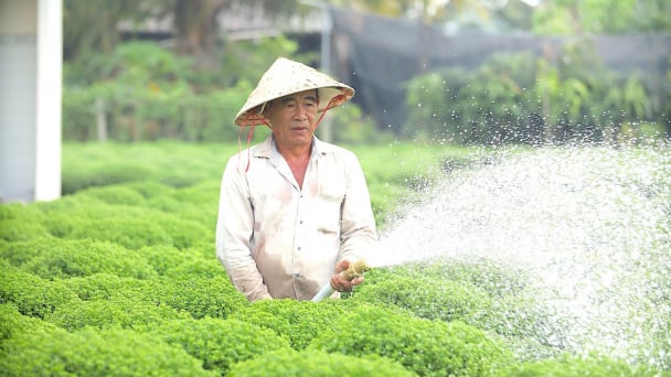 Bến Tre tập trung cho kinh tế vườn và biển