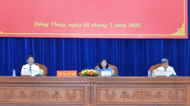 Chỉ định 13 ủy viên UBND tỉnh Đồng Tháp mới