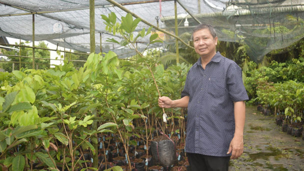 Chợ Lách khẳng định vị thế thủ phủ cây giống, hoa kiểng