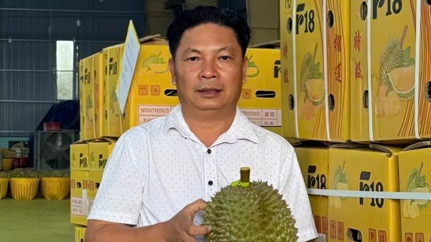 Doanh nghiệp kỳ vọng sầu riêng Việt lấy lại đà tăng trưởng