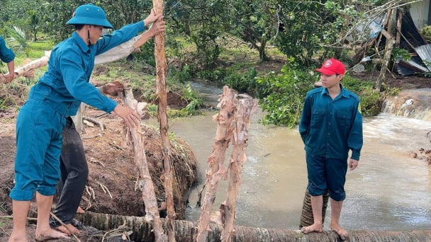 Vĩnh Long chủ động ứng phó thiên tai mùa mưa bão