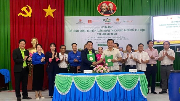 Đan Mạch hỗ trợ xã Cái Ngang chuyển đổi nông nghiệp xanh