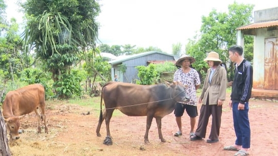 Thiếu cán bộ thú y cơ sở đe dọa an toàn dịch bệnh