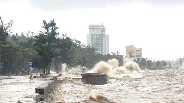Phường Bạch Mai khẩn trương ứng phó bão số 11