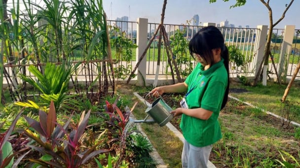 Mỗi mét vuông xanh đều sinh lời