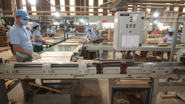 Wood exports set a new record of more than US$1 billion