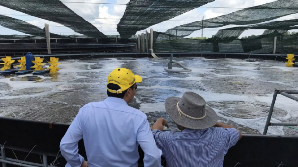 US removes anti-dumping duty on Minh Phu shrimp