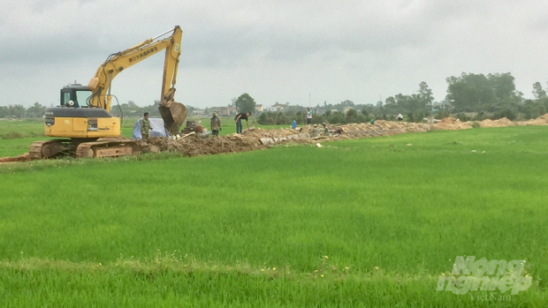 Quảng Trị khắc phục tốt hậu quả mưa bão để đón những mùa vàng