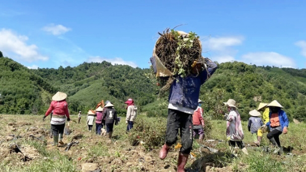 Hơn 3,6 triệu USD xây dựng 'Làng Hòa bình Việt Nam -Hàn Quốc' tại A Lưới