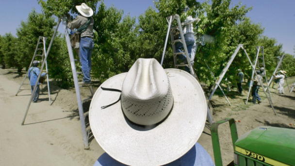 Pesticide caused kids’ brain damage, California lawsuits say