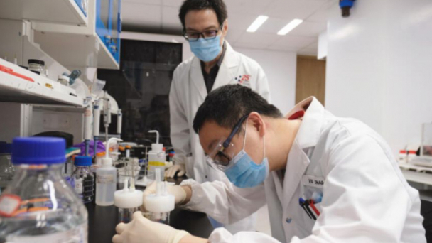 Singapore nghiên cứu ra cách sản xuất phân urê xanh- sạch- rẻ