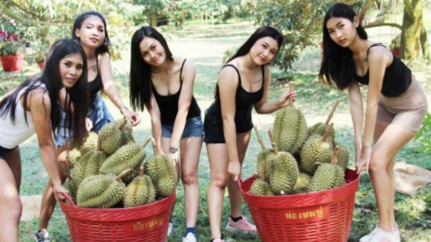 Thái Lan coi sầu riêng là ‘nông sản đặc biệt’
