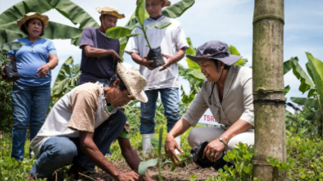 Kỹ thuật ghép cây 'gần như không thể' có thể cách mạng hóa nông nghiệp
