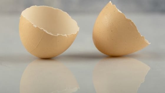Chiết xuất vỏ trứng mở ra cơ hội kinh doanh tỷ đô