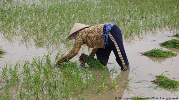 Diện tích đất nông nghiệp thế giới có thể giảm một nửa