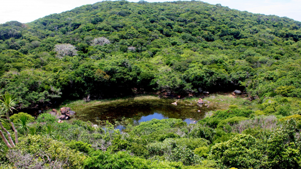 Nutifood and Nui Chua National Park signed a cooperation agreement