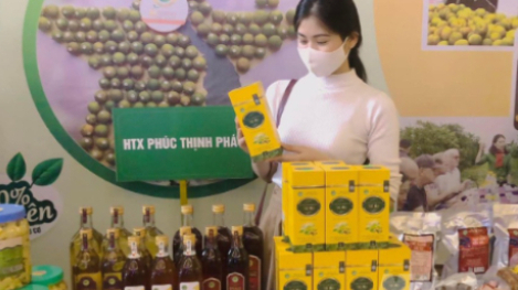 Sản phẩm OCOP 'nở hoa' trên đất Quỳ Châu