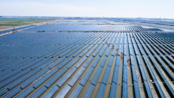 A fishery in China just deployed a giant 70MW solar plant