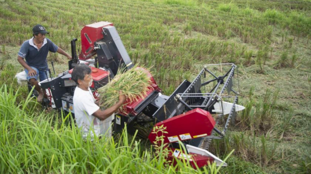 EU đang gây nguy hiểm nguồn cung lương thực thế giới