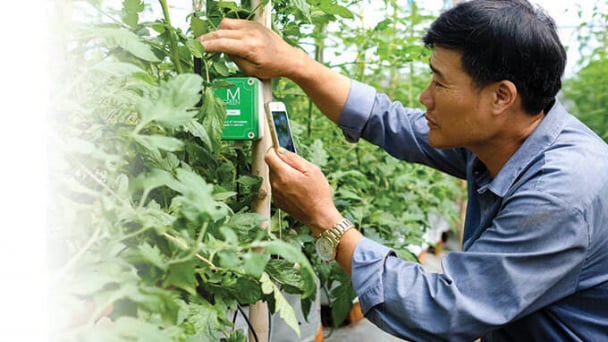 Mặt trái của nền nông nghiệp chính xác