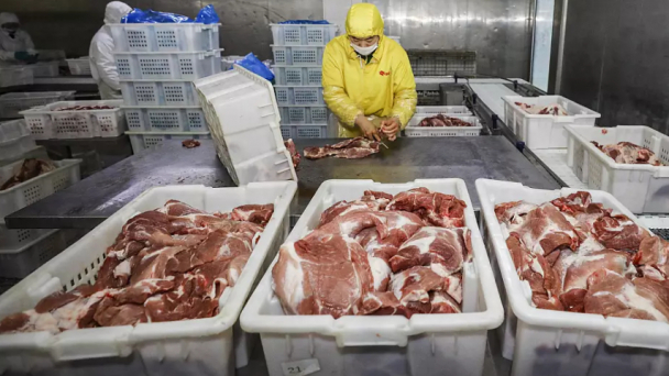 Vi nhựa- thủ phạm giấu mặt trong thịt, sữa