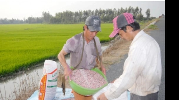 Chuyên gia thế giới đánh giá thế nào về thị trường phân bón Việt Nam?