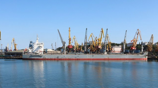 Pháp- Rumani ký thỏa thuận khơi thông ngũ cốc Ukraine