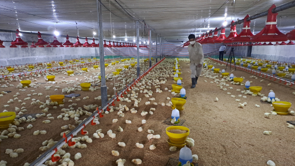 Thu hút đầu tư nông nghiệp ở thành phố điện than