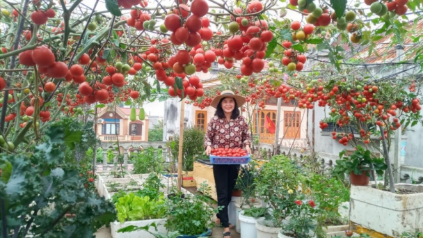 Phát triển nông nghiệp đô thị song hành với đô thị hóa