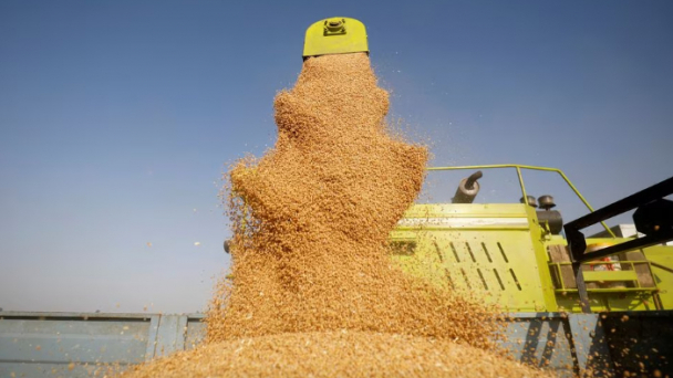 Govt to release 7.5 million tonnes of grains to cool prices