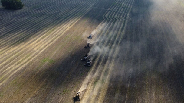 Russia woos Africa with free grain, fertilizer research funding