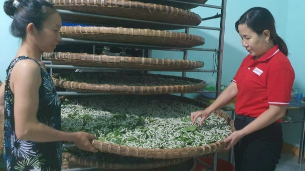 Làm từ thiện bằng cách trao 'cần câu cơm'