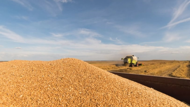 Ukraine harvests 78.7M t of new crops