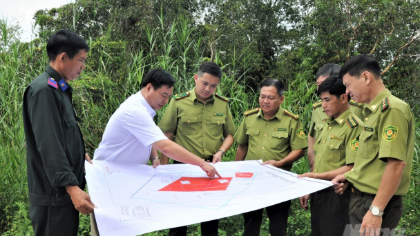 Rừng tràm Kiên Giang có nguy cơ cháy rất cao