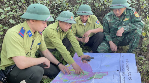 Chỉ thị nâng tầm tài nguyên rừng Nghệ An