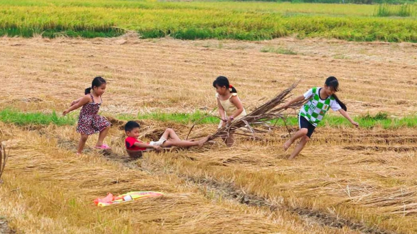 Nghề nông Quảng Ngãi qua ca dao, dân ca: [Bài 1] Ai ơi chớ phụ nghề nông