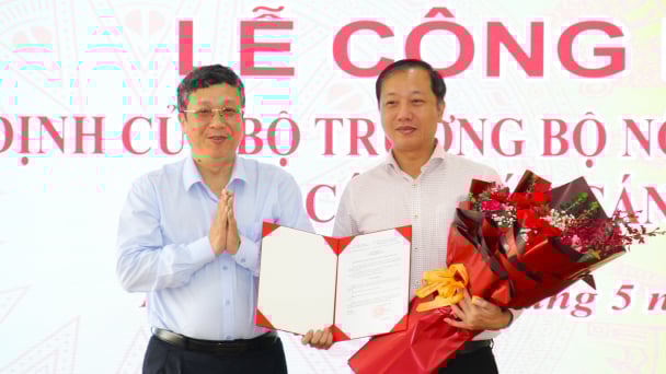 Ông Nguyễn Quang Hiếu giữ chức Phó Cục trưởng Cục Bảo vệ thực vật