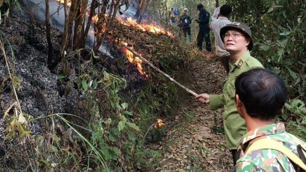 Cần tăng đầu tư, hỗ trợ lực lượng bảo vệ rừng