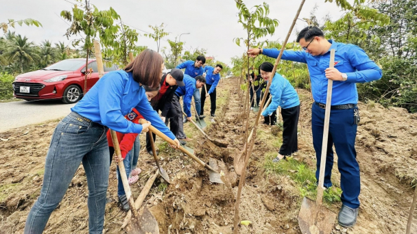 Trồng 8 triệu cây xanh trong chiến dịch thanh niên tình nguyện hè 2024