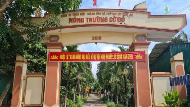 Nghệ An sắp xếp công ty nông, lâm nghiệp mãi vẫn ì ạch