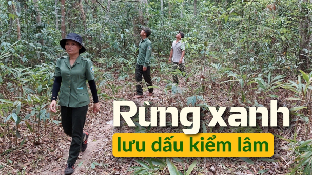 Rừng xanh lưu dấu kiểm lâm: [Bài 4] ‘Nếm mật nằm gai’ bảo vệ Vườn quốc gia