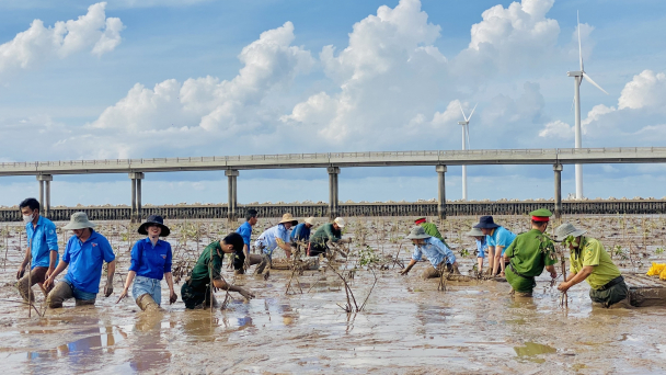 Nâng cao trách nhiệm phát triển rừng
