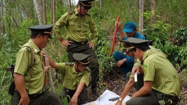 Phú Yên nỗ lực phát triển rừng bền vững